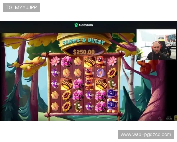 PG游戏下载平台推荐，安全稳定的游戏下载渠道保障你的游戏体验