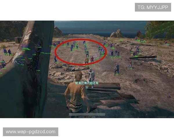 PG电子外挂的法律风险与道德责任详细解读玩家应理性对待外挂行为